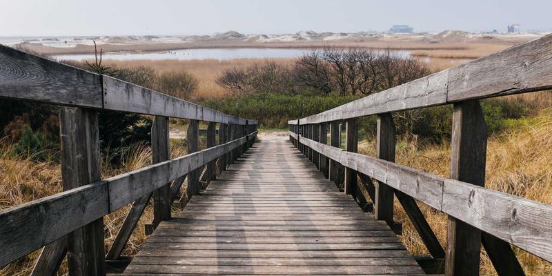 青岛四方源与中车四方股份:揭秘轨道交通产业链上的协同定位与核心价值