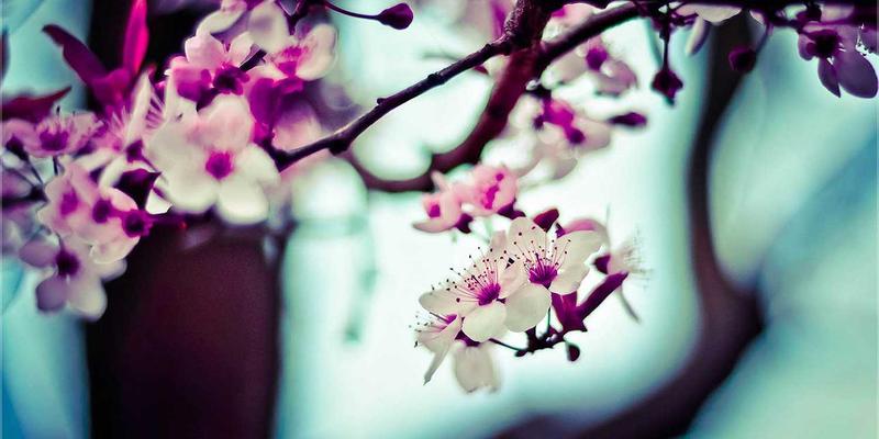 青岛四方源：以创新机械制造技术，驱动车辆轻量化与节能革命